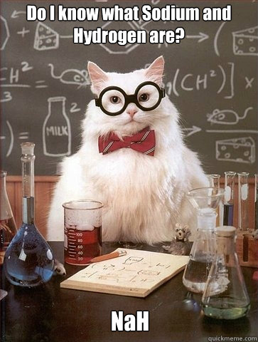 Do I know what Sodium and Hydrogen are? NaH  Chemistry Cat