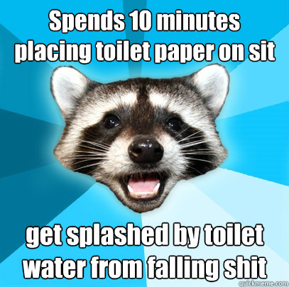 Spends 10 minutes placing toilet paper on sit get splashed by toilet water from falling shit  Lame Pun Coon