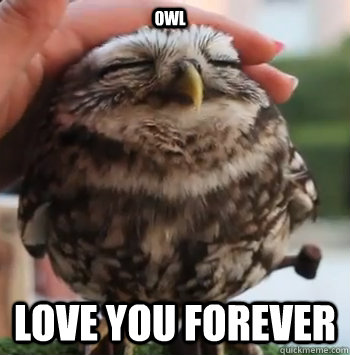 Owl Love you forever  