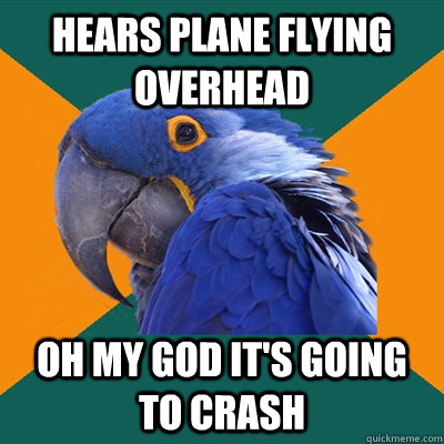 Hears plane flying overhead Oh my god it's going to crash  Paranoid Parrot