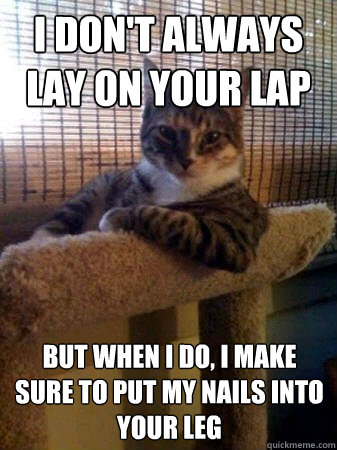 I don't always lay on your lap but when I do, I make sure to put my nails into your leg  The Most Interesting Cat in the World