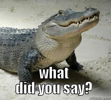 crocodile tears -  WHAT DID YOU SAY? Misc