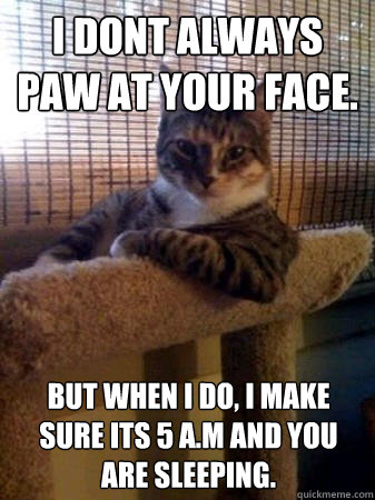 I dont always paw at your face. but when I do, I make sure its 5 A.M and you are sleeping.  The Most Interesting Cat in the World
