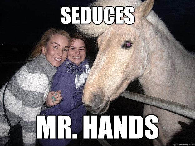 seduces Mr. Hands - seduces Mr. Hands Ridiculously Photogenic Horse.