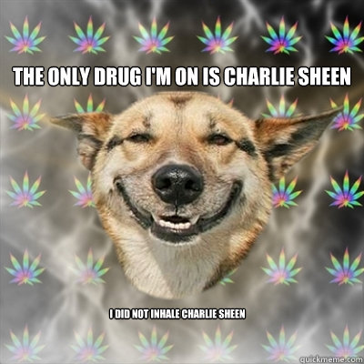 The only drug I'm on is Charlie Sheen I did not inhale Charlie Sheen  Stoner Dog