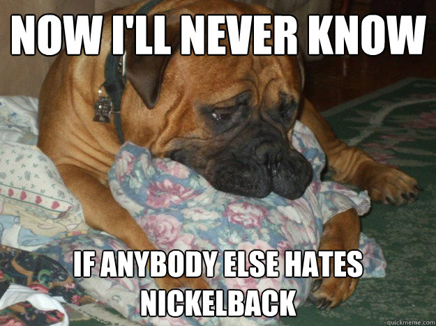 Now I'll never know if anybody else hates nickelback  Sad Dog