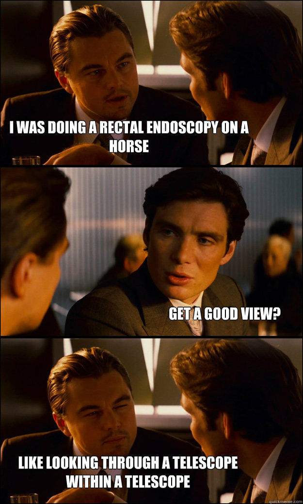 i was doing a rectal endoscopy on a horse get a good view? like looking through a telescope within a telescope  Inception