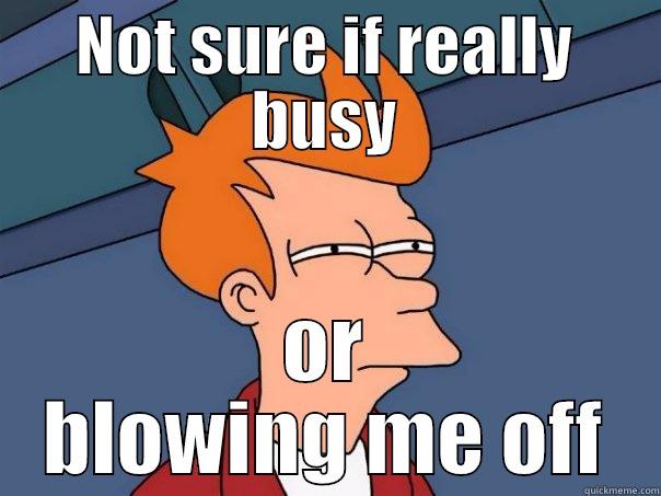 NOT SURE IF REALLY BUSY OR BLOWING ME OFF Futurama Fry