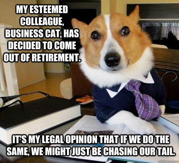 My esteemed colleague, Business Cat, has decided to come out of retirement. It's my legal opinion that if we do the same, we might just be chasing our tail. - My esteemed colleague, Business Cat, has decided to come out of retirement. It's my legal opinion that if we do the same, we might just be chasing our tail.  Lawyer Dog