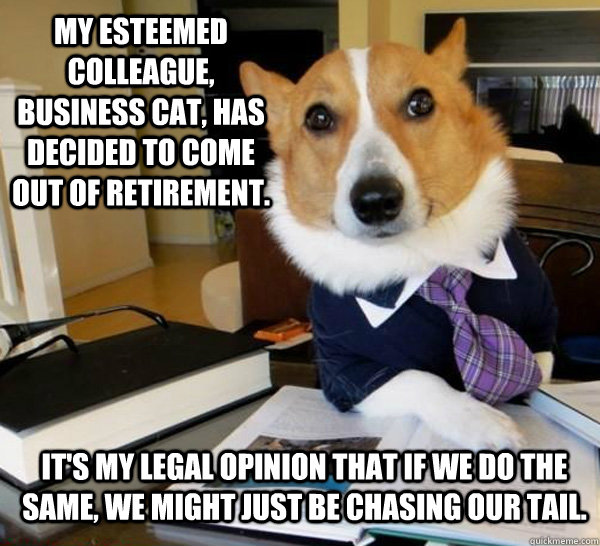 My esteemed colleague, Business Cat, has decided to come out of retirement. It's my legal opinion that if we do the same, we might just be chasing our tail.  Lawyer Dog