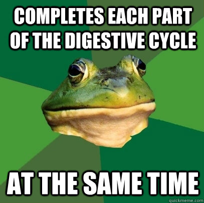 Completes Each Part of the Digestive Cycle At the same time  Foul Bachelor Frog