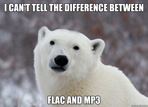 I CAN'T TELL THE DIFFERENCE BETWEEN flac AND MP3  Popular Opinion Polar Bear