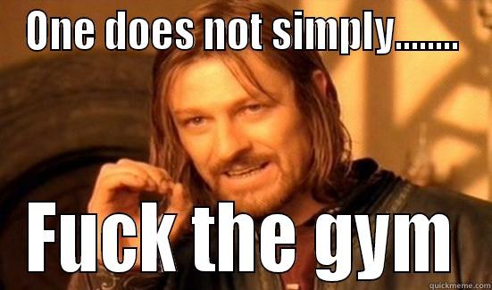 ONE DOES NOT SIMPLY........ FUCK THE GYM Boromir