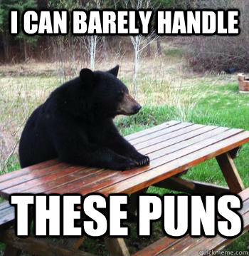 I can barely handle These Puns  Bear  Picnic Table