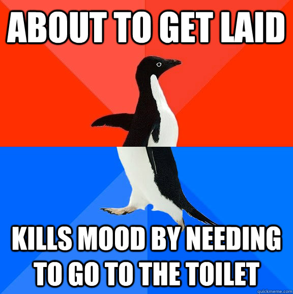 ABOUT TO GET LAID KILLS MOOD BY NEEDING TO GO TO THE TOILET  Socially Awesome Awkward Penguin