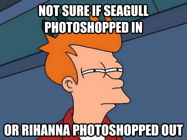 Not sure if seagull photoshopped in or Rihanna photoshopped out  Not sure Fry
