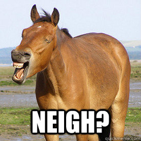  Neigh?  