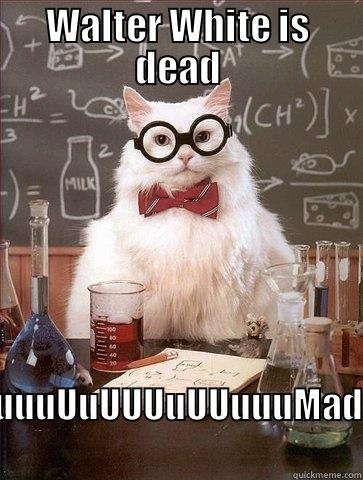 WALTER WHITE IS DEAD UUUUUUUUUUUUUUMAD Chemistry Cat
