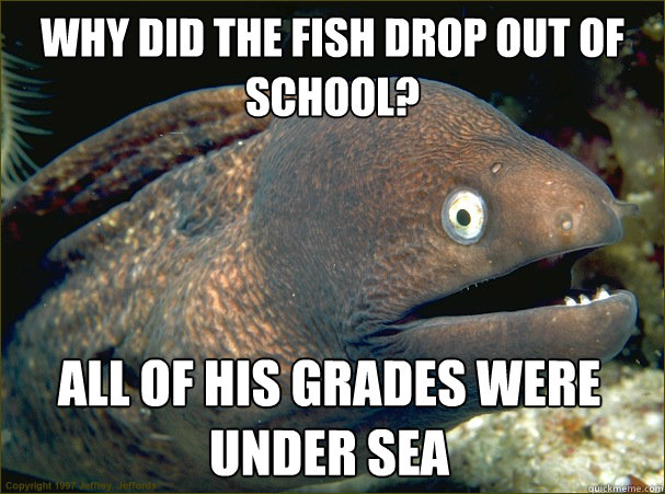 Why did the fish drop out of school? All of his grades were under sea Caption 3 goes here - Why did the fish drop out of school? All of his grades were under sea Caption 3 goes here  Bad Joke Eel