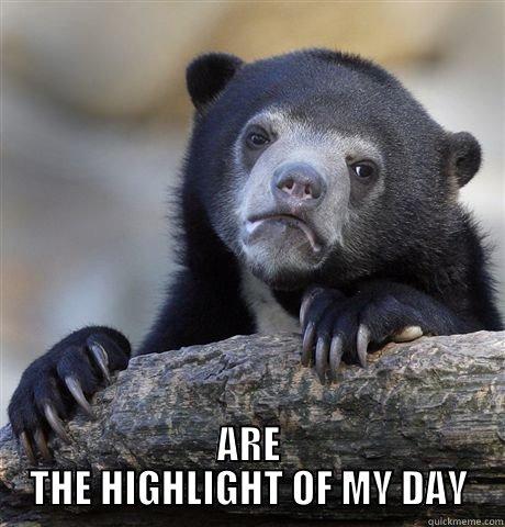  ARE THE HIGHLIGHT OF MY DAY Confession Bear