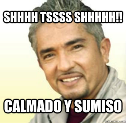 Shhhh Tssss Shhhhh!! calmado y sumiso  Cesar Millan