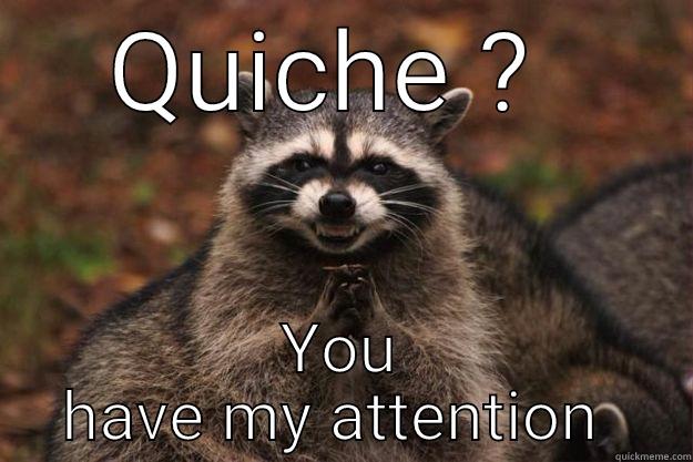 Quiche  - QUICHE ?  YOU HAVE MY ATTENTION  Evil Plotting Raccoon