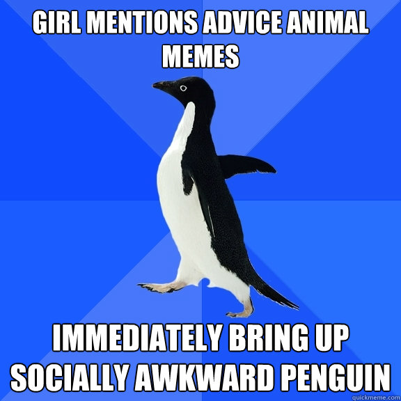 Girl mentions advice animal memes Immediately bring up socially awkward penguin  Socially Awkward Penguin