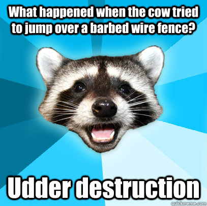 What happened when the cow tried to jump over a barbed wire fence? Udder destruction  Lame Pun Coon