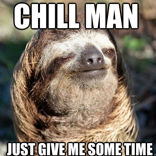 Chill man just give me some time - Chill man just give me some time  10 guy sloth