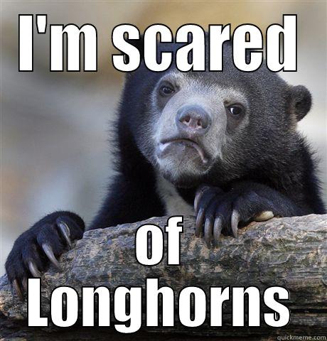 I'M SCARED OF LONGHORNS Confession Bear