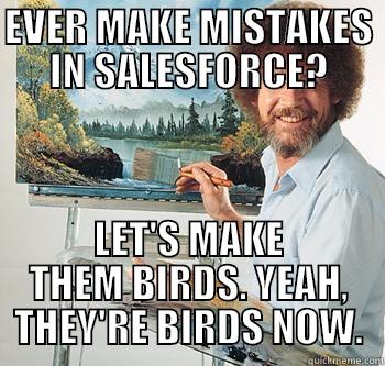 EVER MAKE MISTAKES IN SALESFORCE? LET'S MAKE THEM BIRDS. YEAH, THEY'RE BIRDS NOW. BossRob