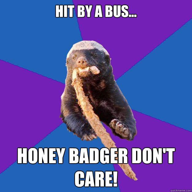 hit by a bus... honey badger don't care!  Honey Badger Dont Care