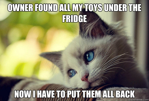 Owner found all my toys under the fridge now I have to put them all back - Owner found all my toys under the fridge now I have to put them all back  First World Cat Problems