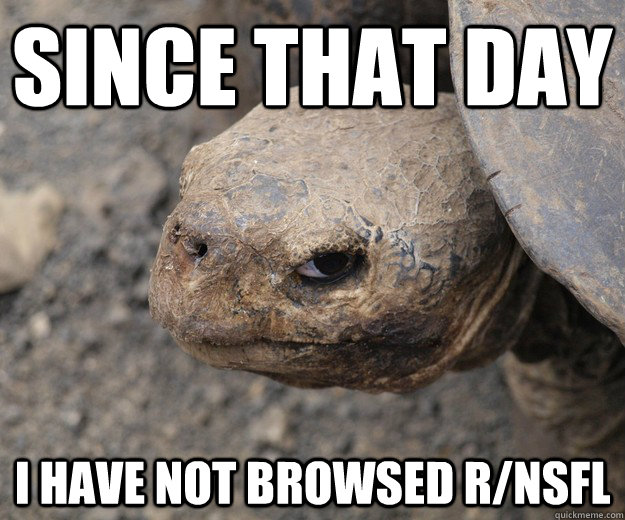 since that day i have not browsed r/nsfl - since that day i have not browsed r/nsfl  Traumatized Tortoise