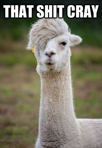 that shit cray  - that shit cray   Hipster Llama