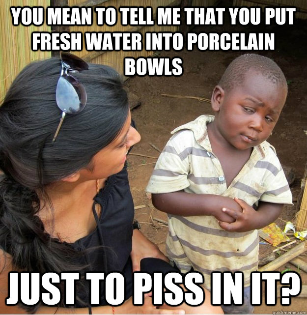 You mean to tell me that you put fresh water into porcelain bowls just to piss in it? - You mean to tell me that you put fresh water into porcelain bowls just to piss in it?  Skeptical Third World Kid