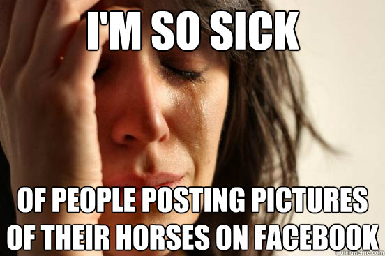 I'm so sick Of people posting pictures of their horses on facebook  First World Problems