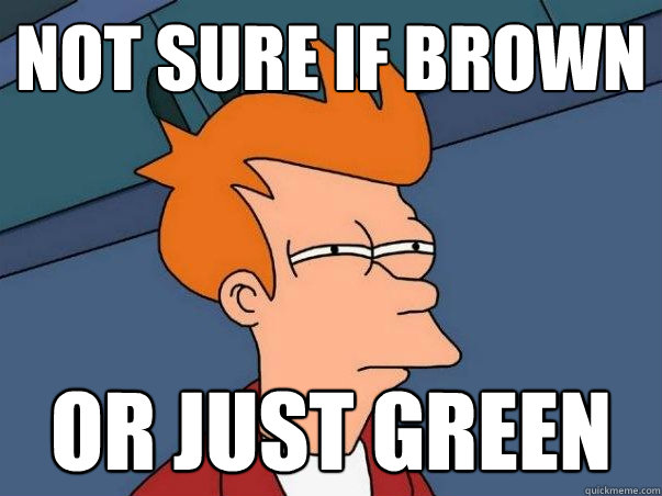 Not sure if brown or just green  Not sure Fry