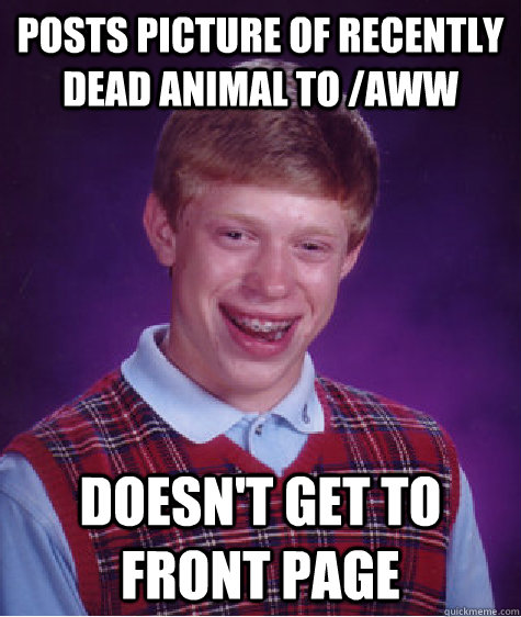 Posts picture of recently dead animal to /aww Doesn't get to front page  Bad Luck Brian