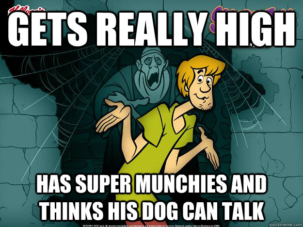 Gets really high Has super munchies and thinks his dog can talk  Irrational Shaggy