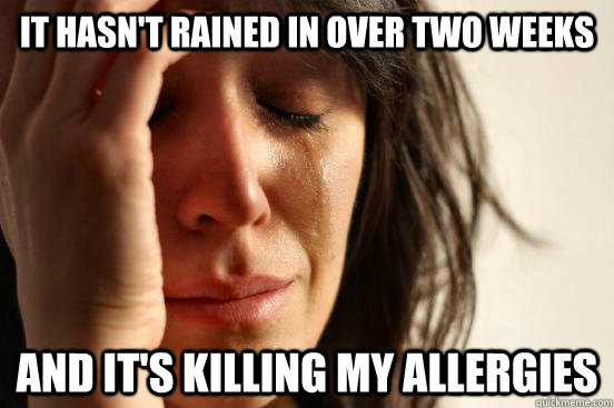 It hasn't rained in over two weeks And it's killing my allergies  First World Problems