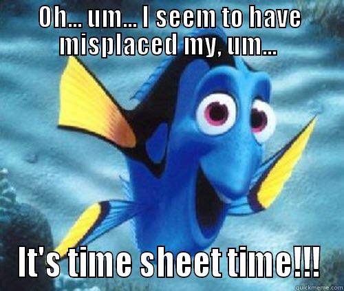 OH... UM... I SEEM TO HAVE MISPLACED MY, UM...  IT'S TIME SHEET TIME!!! Misc