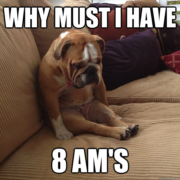 Why must I have 8 am's - Why must I have 8 am's  depressed dog