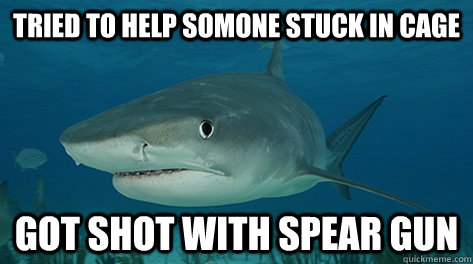 Tried to help somone stuck in cage  got shot with spear gun  Misunderstood Shark Misunderstood Shark