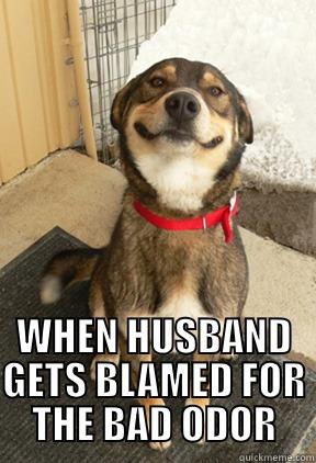  WHEN HUSBAND GETS BLAMED FOR THE BAD ODOR Good Dog Greg