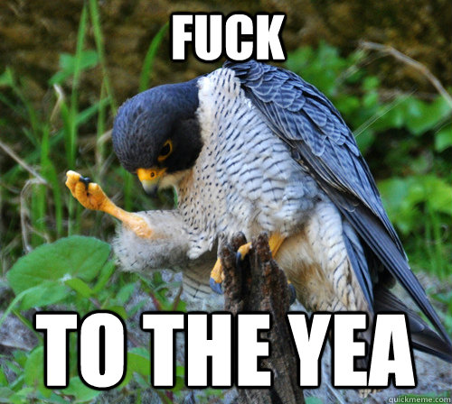 fuck to the yea  Success Falcon