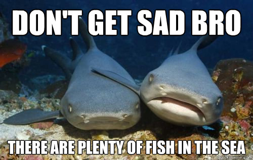 Don't get sad bro there are plenty of fish in the sea  Compassionate Shark Friend