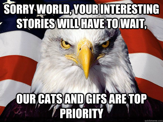 sorry world, your interesting stories will have to wait, our cats and gifs are top priority  Evil American Eagle