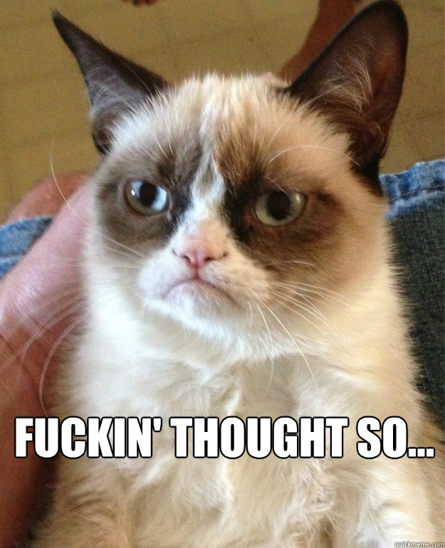   fuckin' thought so...  Grumpy Cat