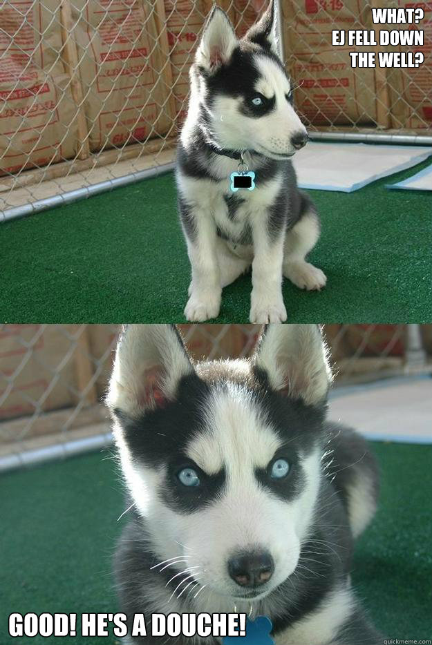 What?
EJ fell down
the well? Good! He's a douche!  Insanity puppy